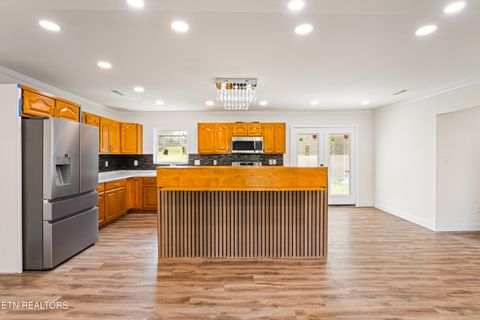 Tiny photo for 1025 Scarlet Rd, Newport, TN 37821 (MLS # 1332471)