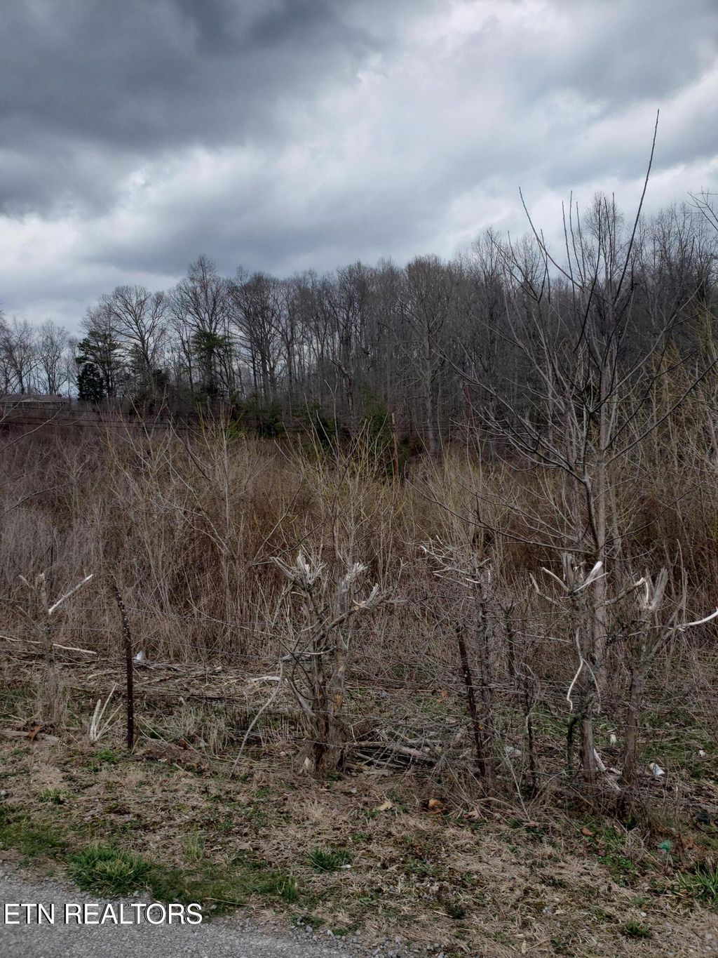 Photo of W High Knob Rd, LaFollette, TN 37766 (MLS # 1339140)
