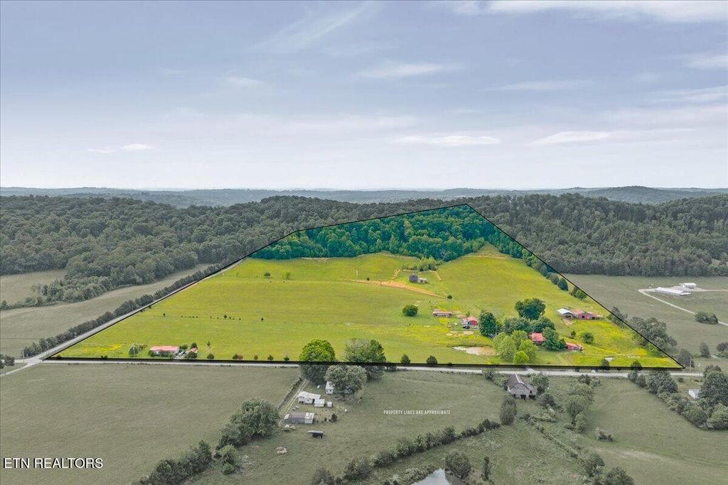 Photo of 1245 Paint Rock Valley Rd, Philadelphia, TN 37846 (MLS # 1340395)