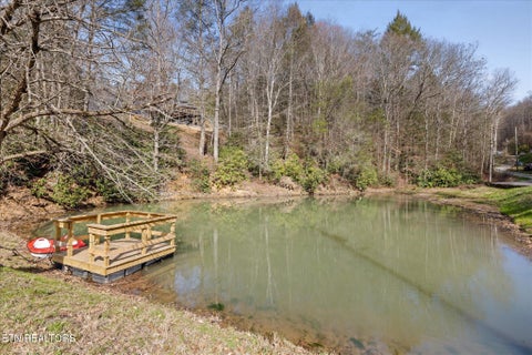 Tiny photo for 2210 Woodcock Tr, Sevierville, TN 37876 (MLS # 1359920)