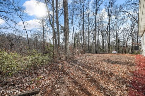 Tiny photo for 2993 Quarry Hollow Rd, Friendsville, TN 37737 (MLS # 1324649)