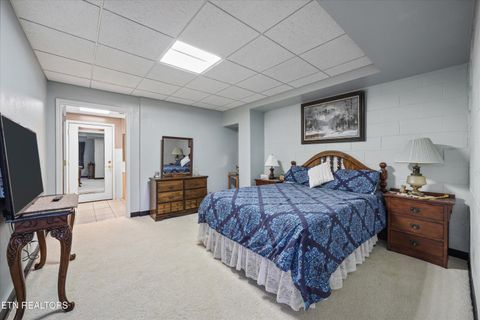 Tiny photo for 2993 Quarry Hollow Rd, Friendsville, TN 37737 (MLS # 1324649)