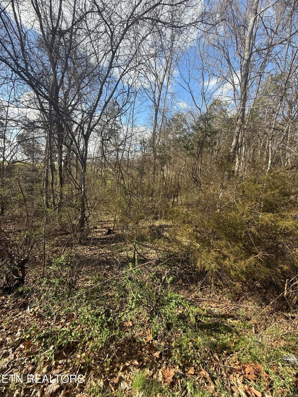 Photo of 1462 Friends Station Rd, New Market, TN 37820 (MLS # 1293545)