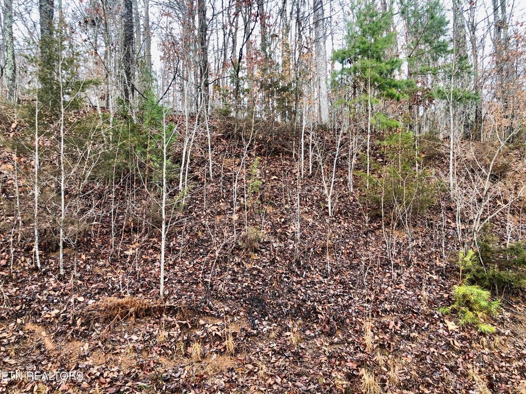 Photo of Silver Trail, New Tazewell, TN 37825 (MLS # 1251793)