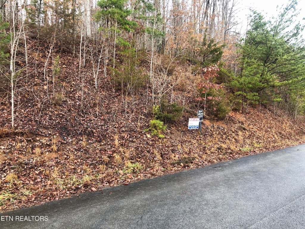 Photo of Silver Trail, New Tazewell, TN 37825 (MLS # 1251793)