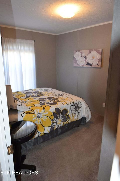 Tiny photo for 182 Pearlie Ln Lane, Tazewell, TN 37879 (MLS # 1330958)