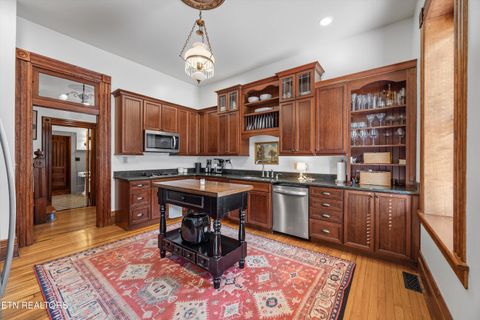 Tiny photo for 505 E Scott Ave, Knoxville, TN 37917 (MLS # 1304767)