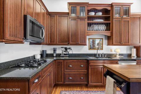 Tiny photo for 505 E Scott Ave, Knoxville, TN 37917 (MLS # 1304767)