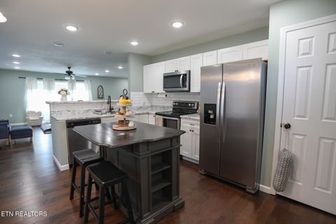 Tiny photo for 217 Ashton Lane, Madisonville, TN 37354 (MLS # 1326053)