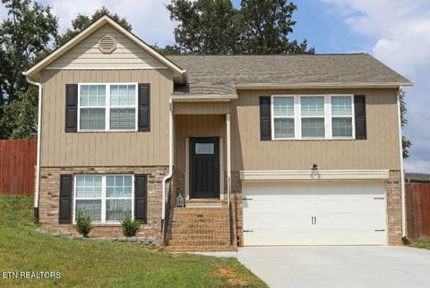 Photo of 217 Ashton Lane, Madisonville, TN 37354 (MLS # 1326053)