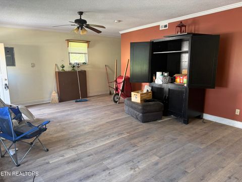 Tiny photo for 6200 Maloneyville Rd, Corryton, TN 37721 (MLS # 1333805)