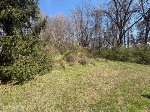 Tiny photo for 6200 Maloneyville Rd, Corryton, TN 37721 (MLS # 1333805)