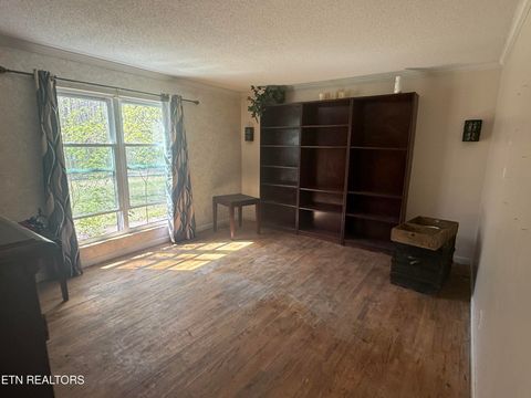 Tiny photo for 6200 Maloneyville Rd, Corryton, TN 37721 (MLS # 1333805)