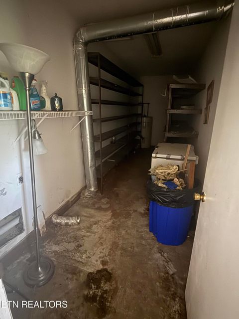 Tiny photo for 6200 Maloneyville Rd, Corryton, TN 37721 (MLS # 1333805)