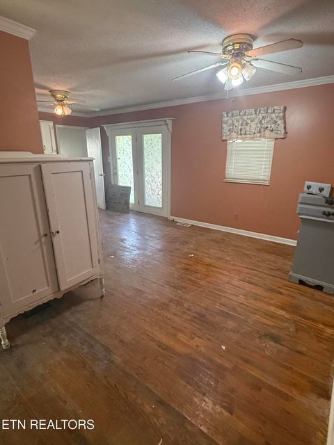 Tiny photo for 6200 Maloneyville Rd, Corryton, TN 37721 (MLS # 1333805)