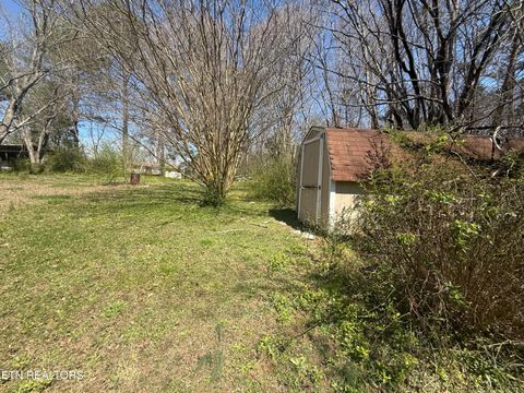 Tiny photo for 6200 Maloneyville Rd, Corryton, TN 37721 (MLS # 1333805)