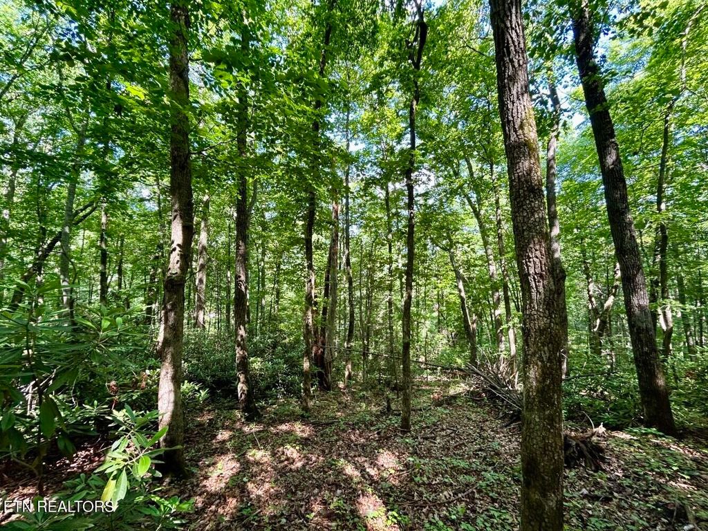 Photo of 0 Grand Country Drive, Cosby, TN 37722 (MLS # 1323193)