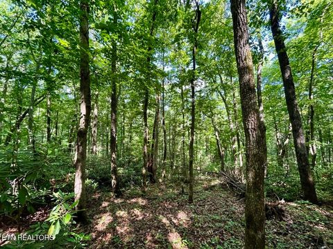 Tiny photo for 0 Grand Country Drive, Cosby, TN 37722 (MLS # 1323193)