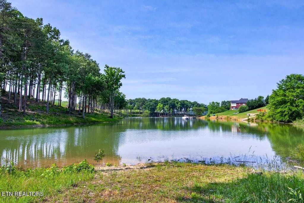 Photo of 630 Ancient Oaks Court, White Pine, TN 37890 (MLS # 1246219)