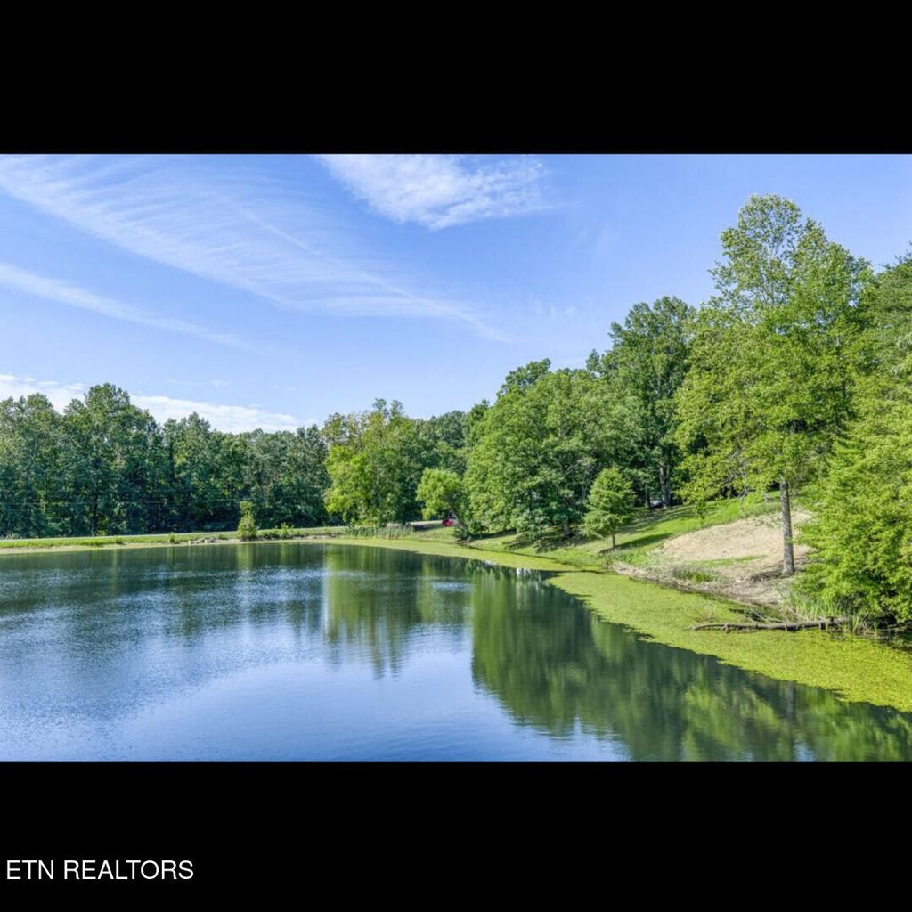 Photo of 209 Spencer Drive, Spencer, TN 38585 (MLS # 1337752)