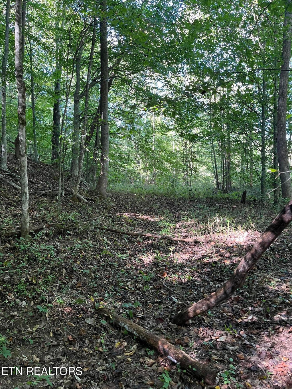 Photo of Paint Rock Buffalo Creek Rd, Oneida, TN 37841 (MLS # 1357157)