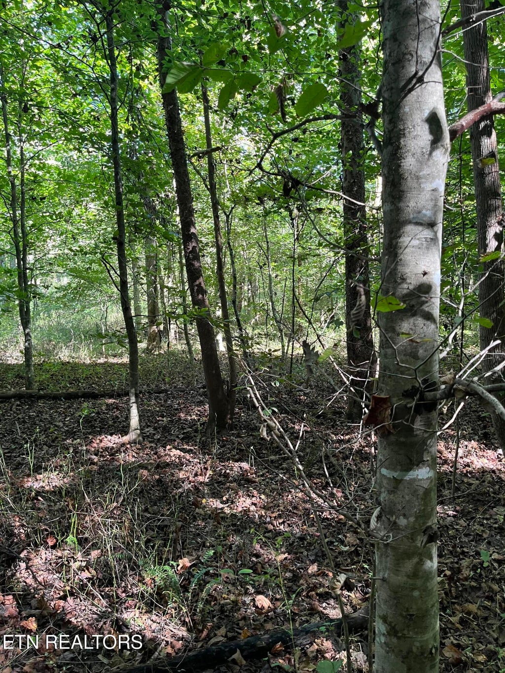 Photo of Paint Rock Buffalo Creek Rd, Oneida, TN 37841 (MLS # 1357157)