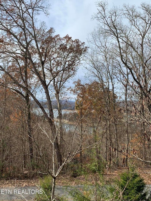 Tiny photo for 0 Russell Brothers Rd #732, Sharps Chapel, TN 37866 (MLS # 1347288)
