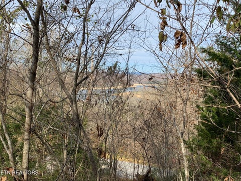 Tiny photo for 0 Russell Brothers Rd #732, Sharps Chapel, TN 37866 (MLS # 1347288)