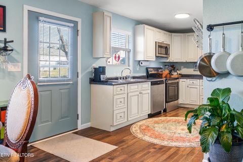 Tiny photo for 118 View Lane, LaFollette, TN 37766 (MLS # 1327154)