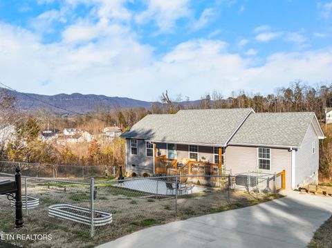 Tiny photo for 118 View Lane, LaFollette, TN 37766 (MLS # 1327154)