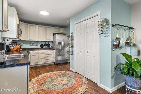 Tiny photo for 118 View Lane, LaFollette, TN 37766 (MLS # 1327154)