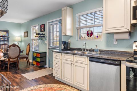 Tiny photo for 118 View Lane, LaFollette, TN 37766 (MLS # 1327154)