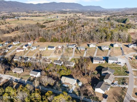 Tiny photo for 118 View Lane, LaFollette, TN 37766 (MLS # 1327154)