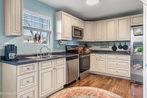 Tiny photo for 118 View Lane, LaFollette, TN 37766 (MLS # 1327154)