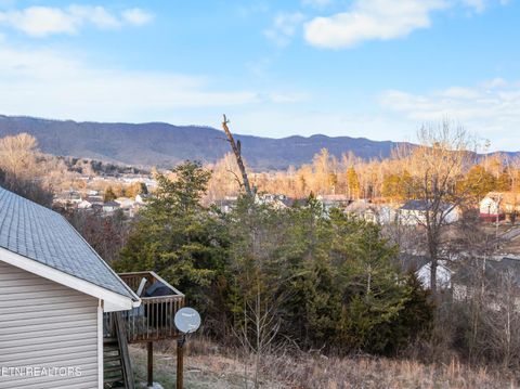 Tiny photo for 118 View Lane, LaFollette, TN 37766 (MLS # 1327154)