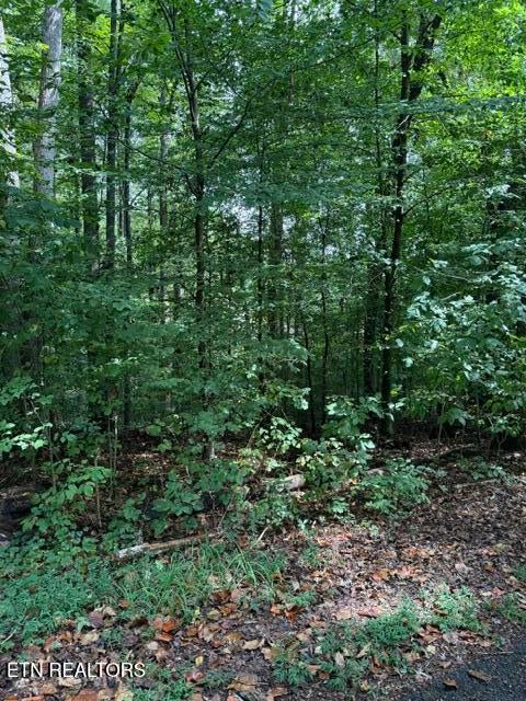 Photo of Rock Hill Rd, Maryville, TN 37804 (MLS # 1356365)
