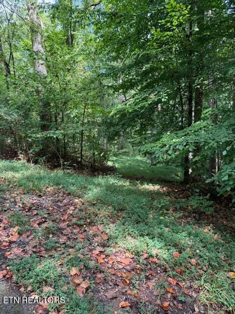 Photo of Rock Hill Rd, Maryville, TN 37804 (MLS # 1356365)