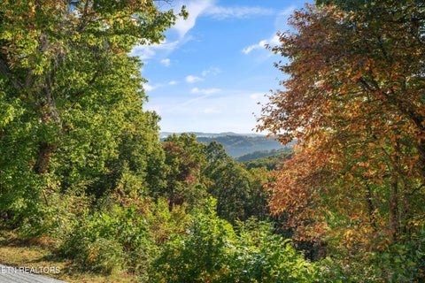 Tiny photo for 286 Bobcat Tr, Caryville, TN 37714 (MLS # 1359959)