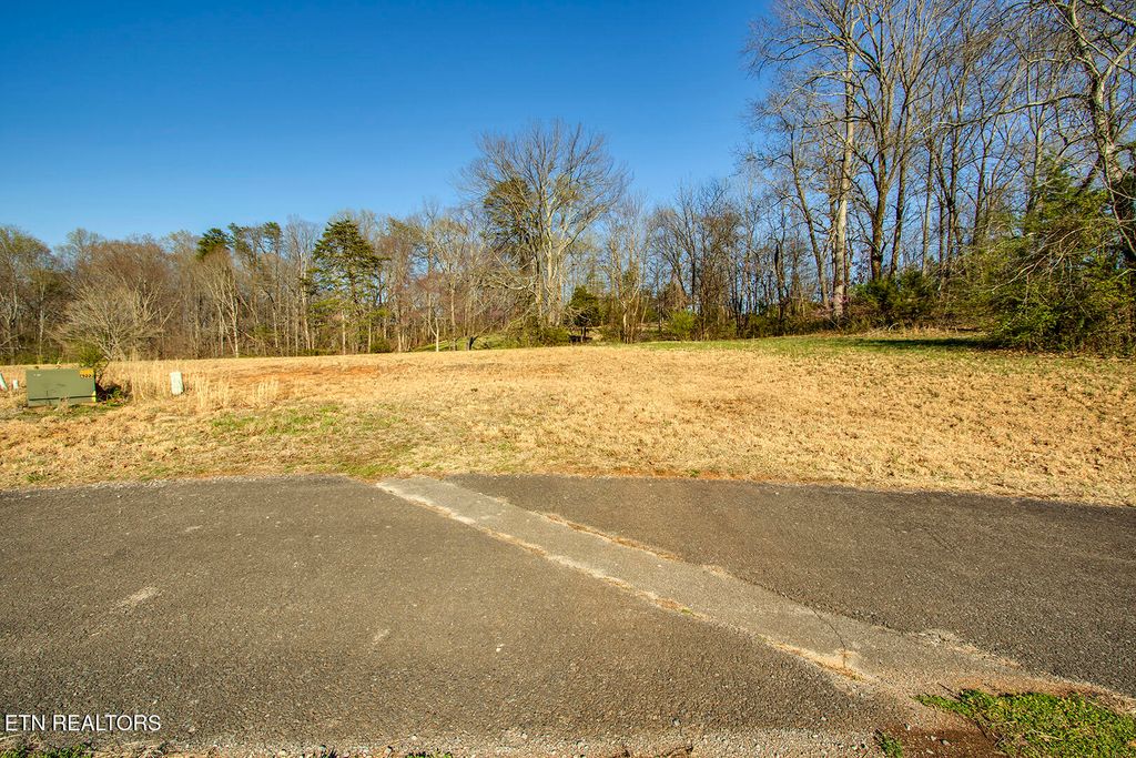 Photo of 8 Willow Trace, Athens, TN 37303 (MLS # 1295316)