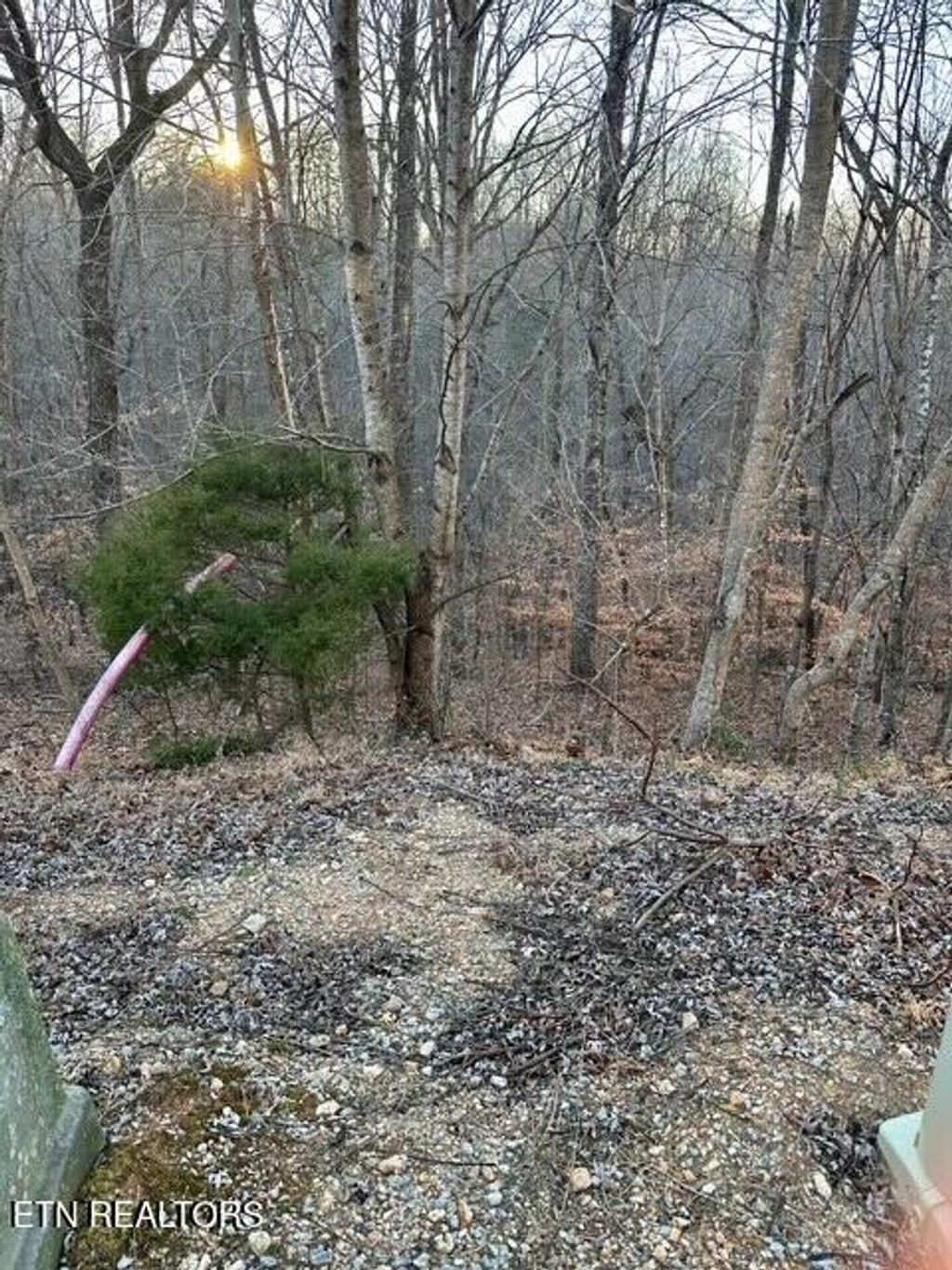 Photo of 124 Old Hearth, LaFollette, TN 37766 (MLS # 1326695)