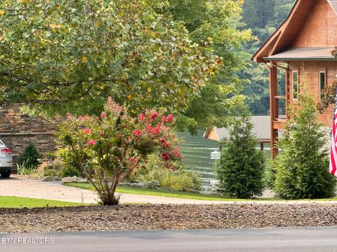 Tiny photo for 125 Eladi Tr, Vonore, TN 37885 (MLS # 1313551)