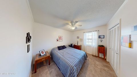 Tiny photo for 1127 Dean Corvin Lane, Dayton, TN 37321 (MLS # 1333174)