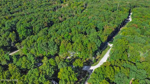 Tiny photo for 3094 Renegade Mountain Pkwy, Crab Orchard, TN 37723 (MLS # 1336021)