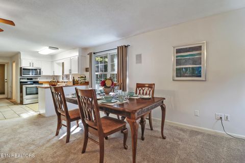 Tiny photo for 3094 Renegade Mountain Pkwy, Crab Orchard, TN 37723 (MLS # 1336021)