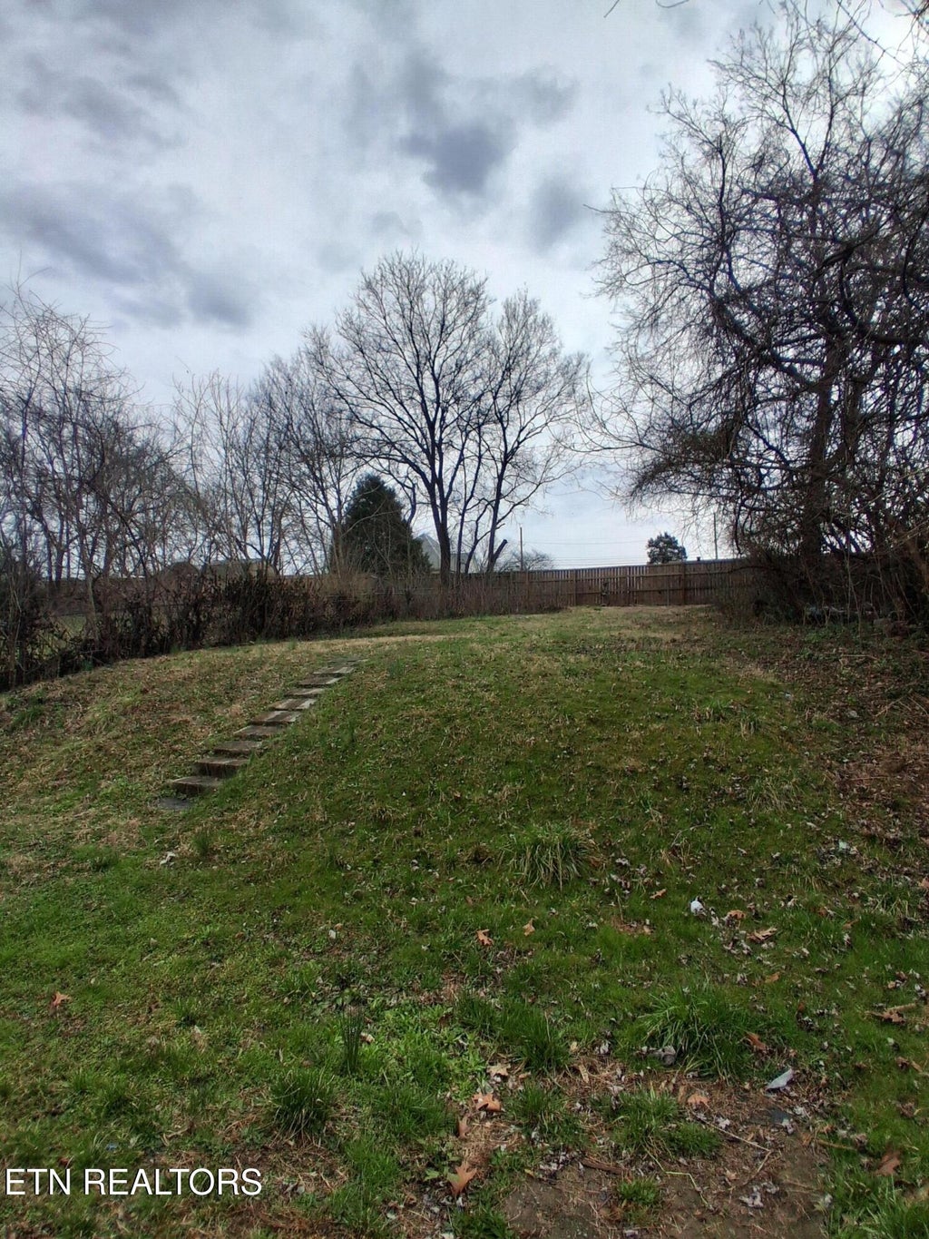 Photo of 1316 Maryland Ave, Knoxville, TN 37921 (MLS # 1358733)