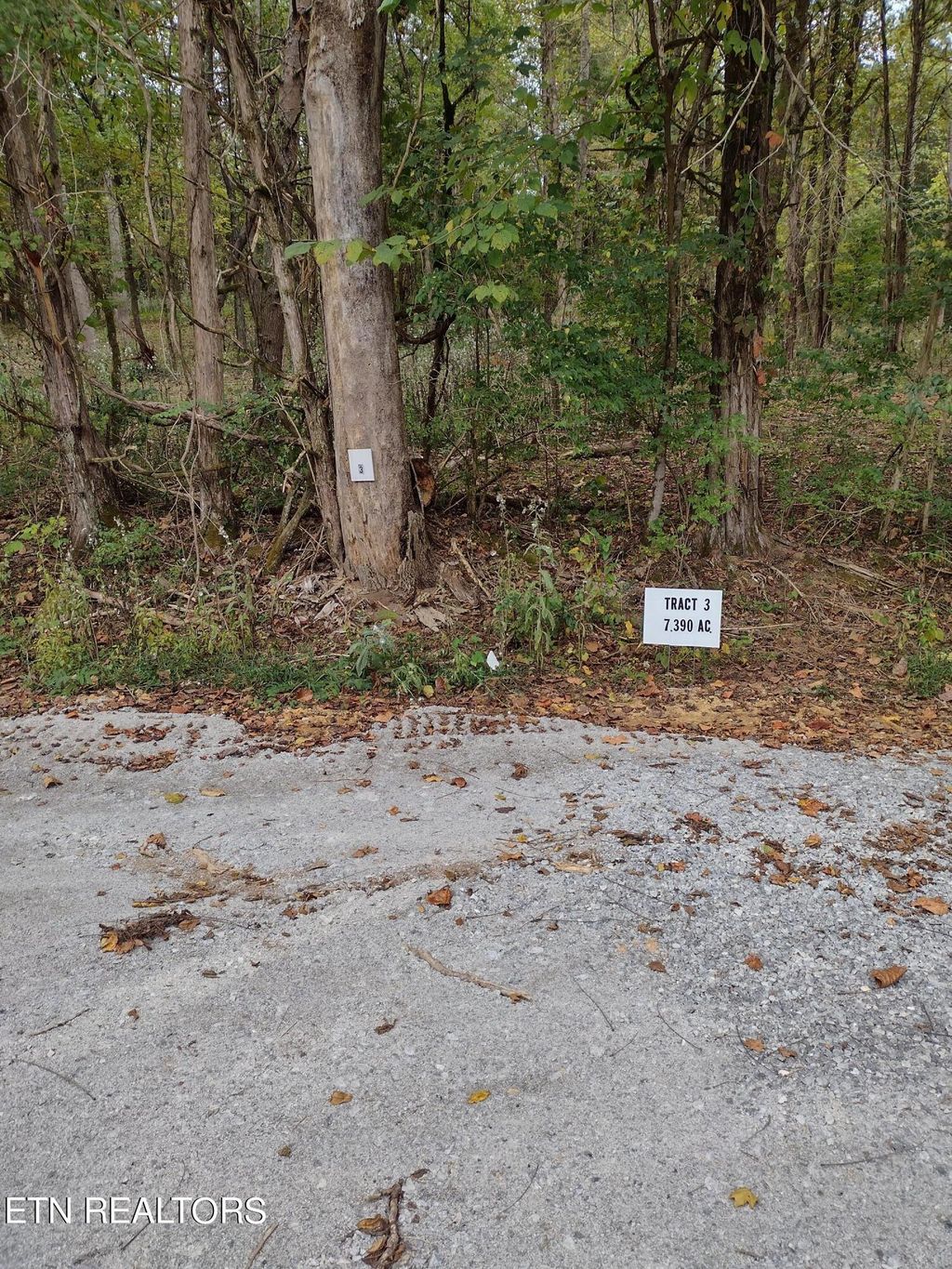 Photo of 3 Miser Station Rd, Friendsville, TN 37737 (MLS # 1242512)