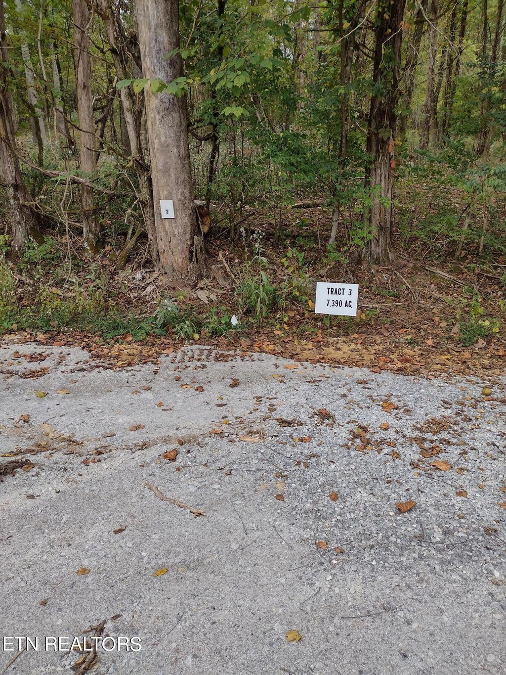 Photo of 3 Miser Station Rd, Friendsville, TN 37737 (MLS # 1242512)