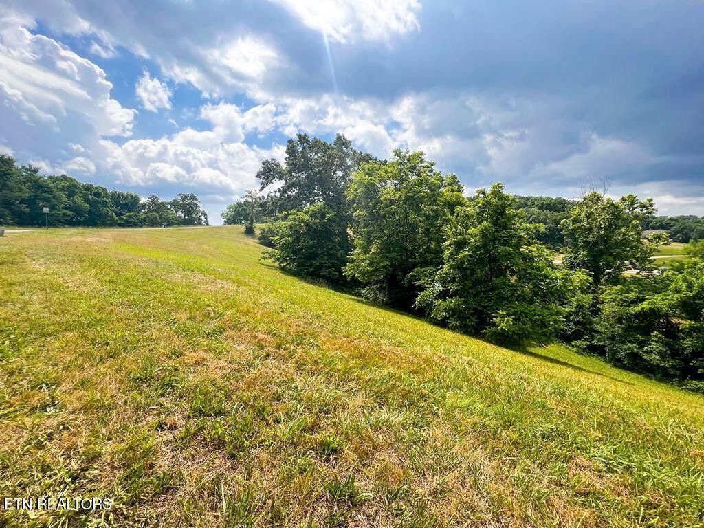 Photo of 2063 Turners Landing Rd, Russellville, TN 37860 (MLS # 1306913)