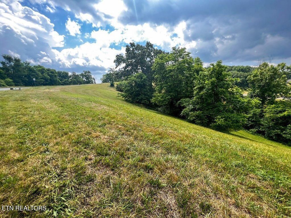 Photo of 2063 Turners Landing Rd, Russellville, TN 37860 (MLS # 1306913)