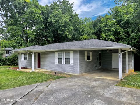 Photo of 524 Oak St, Dayton, TN 37321 (MLS # 1342394)